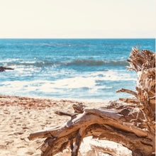 Load image into Gallery viewer, Island Dreams
